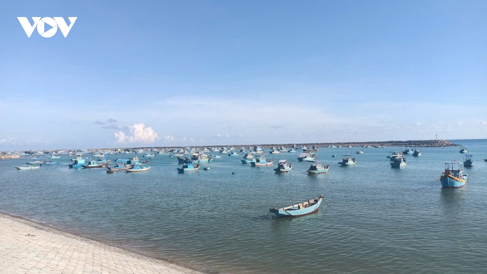 Lâm Đồng quyết tâm gỡ "thẻ vàng" IUU sớm nhất